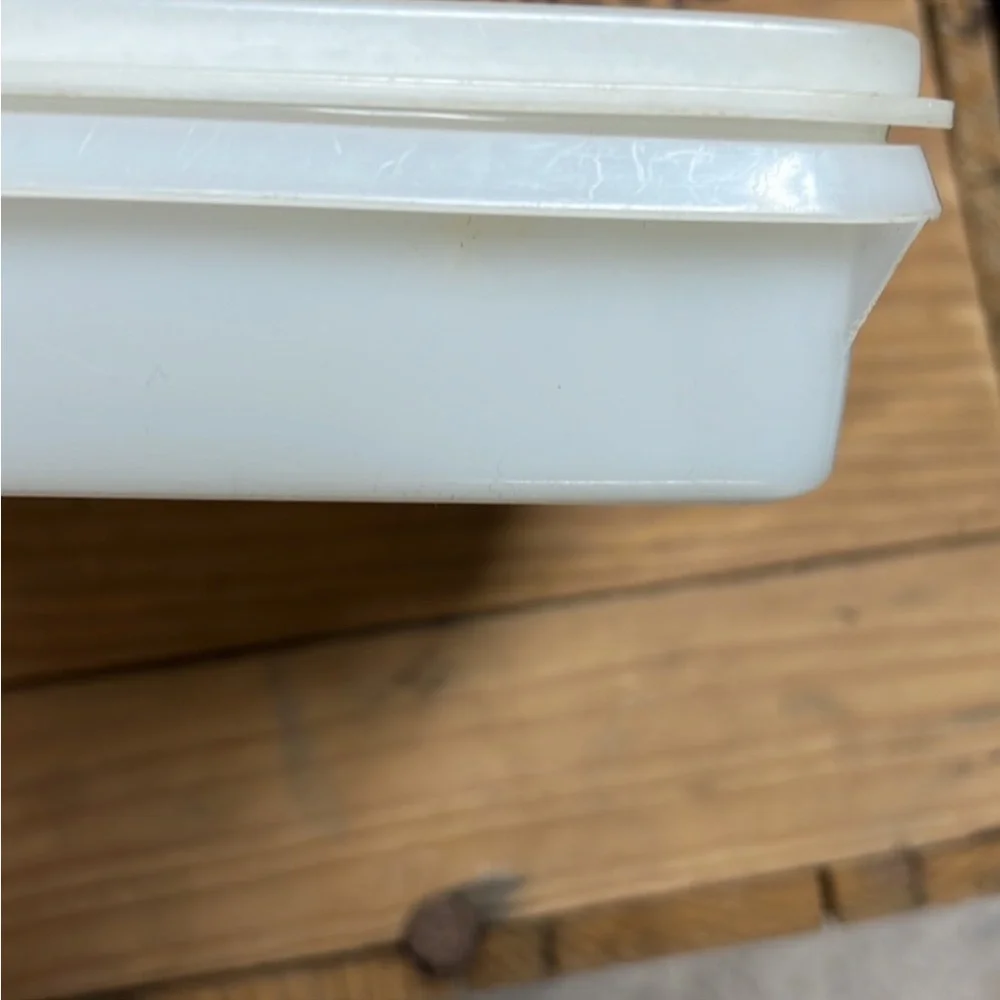 Vintage Tupperware deli keeper. Bacon, meats, cheeses.  Even veggies.